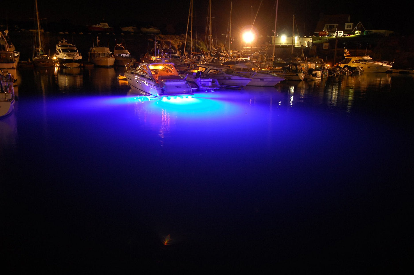 Piranha P12 Single / Dual Colour (6,200Lm)