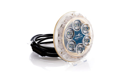 Piranha P6 Nitro Single & Dual Colour - NAVIEL