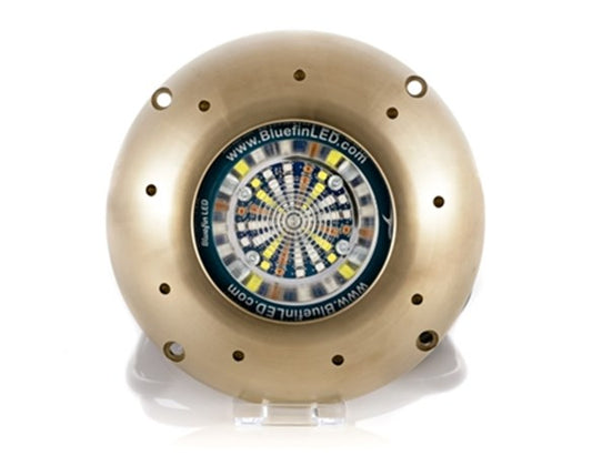 Signature Series Orca O48CC