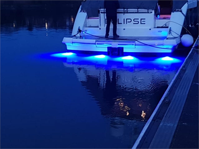 Piranha P12  Single / Dual Colour